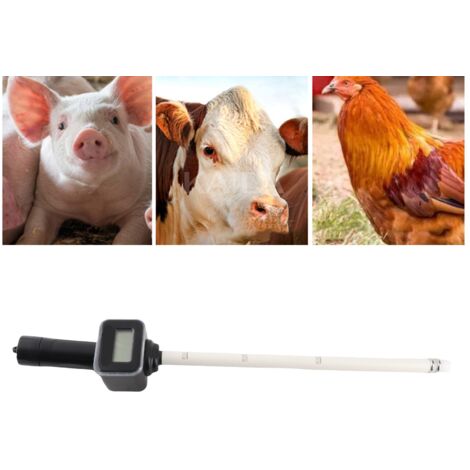 Détecteur d'Ovulation Porcine - Matériel Polyéthène Résistant et Imperméable - 673g pour Surveillance Précise du Cycle Éstrus (1/5)