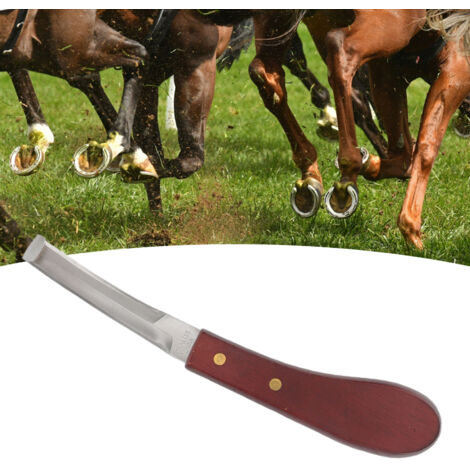 Couteau de parage pour chevaux - Lame double face en acier inoxydable - Forme ergonomique avec manche en bois - Dimensions 22.3cm - Pour soins et réparation des sabots (1/5)