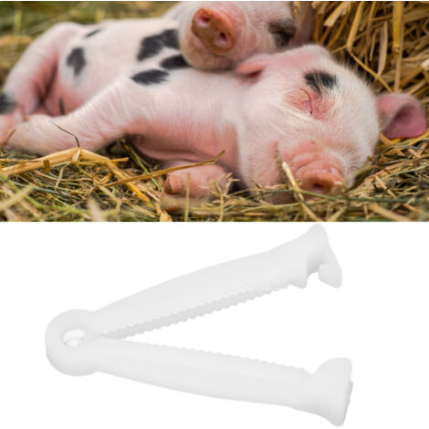 Pince à cordon ombilical pour animaux agricoles - Clips jetables pour porcs 200 unités - PVC durable et sûr pour prévenir infections en élevage (1/5)