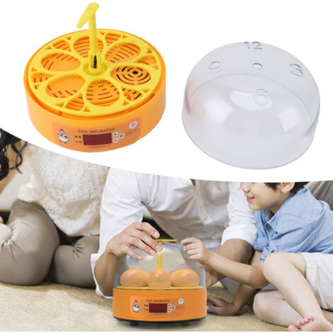 Incubateur d'œufs automatique 6 œufs pour poules canards avec contrôle température humidité et retournement manuel portable ABS