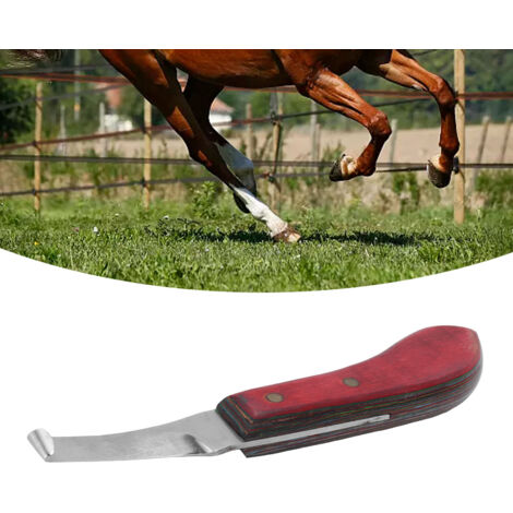 Lame pour Chevaux Droite Courbe en Composite Bois - Lame Curved Droite pour Farrier 22.3cm Chisel Tool Steel (1/5)