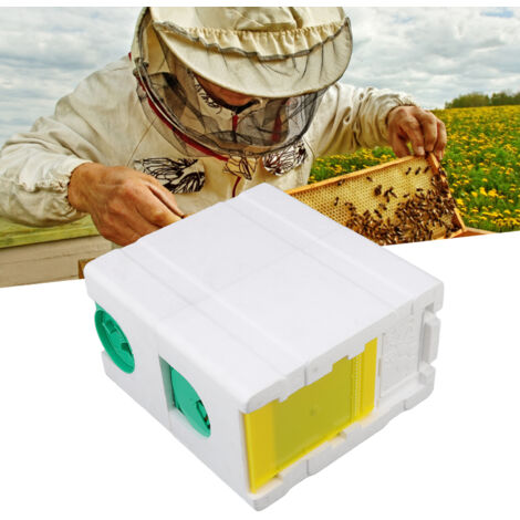 Double Cage pour Élevage et Reproduction de Reines Apicoles Matériel Mousse Autonomie Abeilles (1/5)