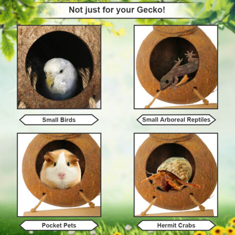 Maison pour reptiles et oiseaux en cocon naturel - Niche en coquille de noix de coco suspendue - Habitat exotique pour lézard, gecko, furet, souris - Matériau : fibre de cocon - Diamètre 6cm - 235g (1/5)
