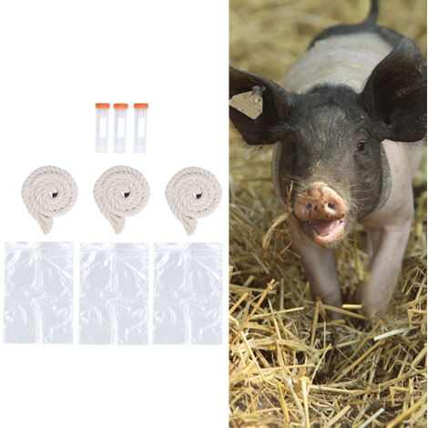 [Kit de Test de Peste Porcine] + [Lot de 3] + [Kits de Collecte de Salive porcine avec corde en coton, tubes et sacs] (1/5)