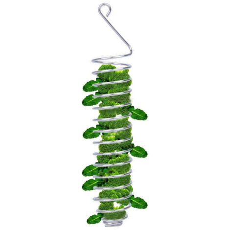 Support pour Fruits et Legumes pour Oiseaux - Récipient Alimentaire et Pic en Acier Inoxydable pour Perruches et Autres Petits Animaux, Modèle 26x4.3cm (1/5)