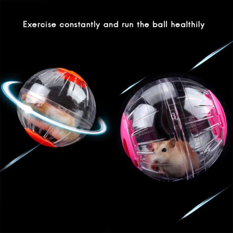 Boule d'exercice pour Hamster - Jouet Transparent Mini en Plastique - 12cm (1/5)