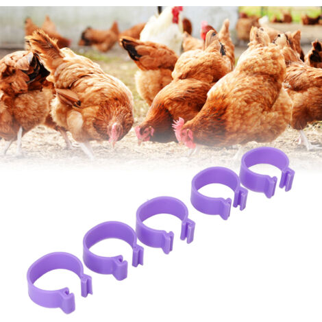 Anneau Pied Poulet 100 pièces - Anneaux Clip pour Poule, Canard, Oie - Outil d'Élevage Purple 16mm/0.63in - Anneau à Clip Réutilisable