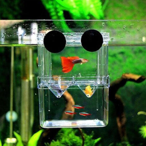 Acrylic Aquarium Box / Boîte Aquariophile Acrylic Dual Layer / Hanging Fry Hatchery Isolation Box XL 18815.5cm (1/5)