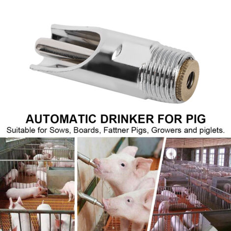 Abreuvoir automatique pour cochons avec accessoires de ferme - 5 pièces en cuivre chromé G1/2in, anti-rouille et durable