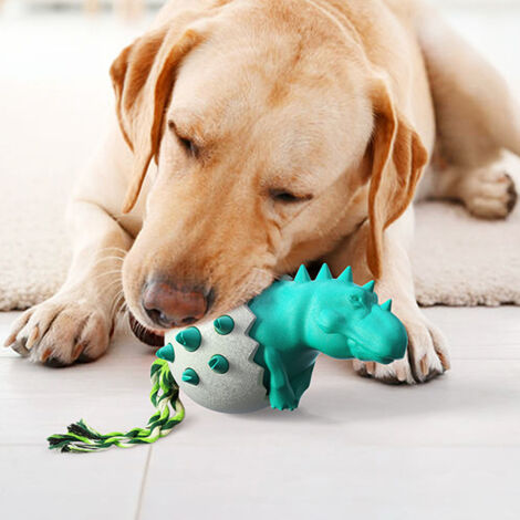 Oeuilles de Dinosaure pour Chiens - Jouets à Mâcher Durable ABS - Amusement et Santé Dentaire pour Puppy Dogs - Taille 9.7x8.2x12.9cm (1/5)