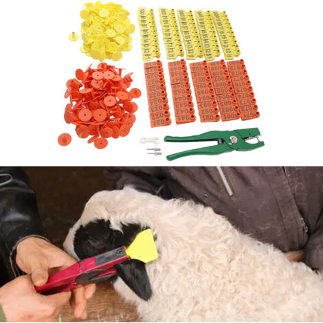 Pince et Set d'Étiquettes d'Identification pour Animaux de Ferme - Pince Verte avec Étiquettes Orange et Jaune en Plastique et Pins en Métal pour Élevage (1/5)