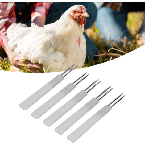 Vaccination de Poules : 50 Aiguilles Double Pointes Pox pour Vacciner les Volailles, Matériel de Élevage Blanc (1/5)