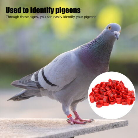 Bague de pigeon identifiante 100Pcs 001‑100 Annelier pour volaille 12mm rouge avec chiffre Matériel plastique durable pour la identification de vos oiseaux