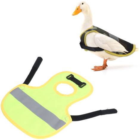 Gilet Réfléchissant pour Poulets et Poules - Légé et Réfléchissant pour Sécurité et Visibilité Nuit (1/5)