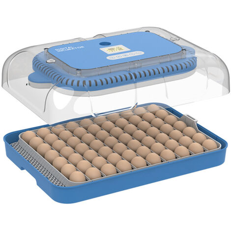 Incubateur Automatique pour 70 Œufs - Contrôle de Température et Humidité - Rotation Auto - LED et Candler - Adaptateur US 110V