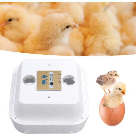 Couveuse Professionnelle 40W Haute Précision Faible Nuisance pour 36 Œufs Automatique Foam 40cm avec 12V Ecologique Home