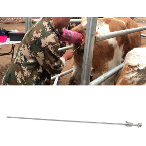 Aiguille d'insémination bovine en acier inoxydable à fixation par ressort rapide, instrument vétérinaire de ferme (45.8 cm, 61g). (1/5)