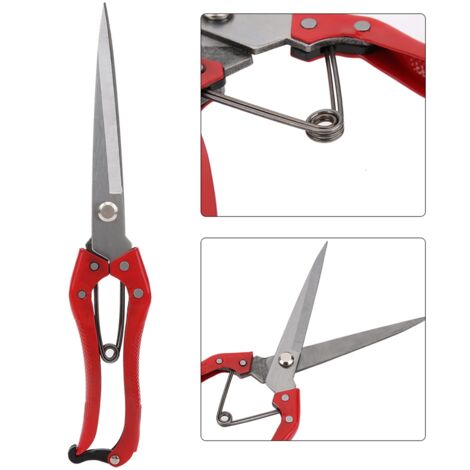 Ciseaux Multifonction Taille-Ciseaux Fer et Acier 29cm - Pour Toison Animaux Cuisine Jardin