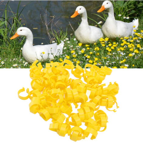 [Anneaux pour Poulet] Clip en Plastique Réutilisable de 18mm Jaune (100 Pièces) - Anneaux de Pattes pour Poulets, Canards et Oies - Pour l'Élevage (1/5)