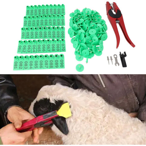 Pinces de Marquage Animal avec Étiquettes Colorées pour Identification du Bétail - Set de Pinces Rouge et Étiquettes Vertes en Plastique et Métal Inoxydable pour Professionnels de Ferme (1/5)