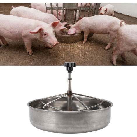 Auge à Alimentation pour Porcelets en Acier Inoxydable 201, Grand Capacité, Multi-Positions
