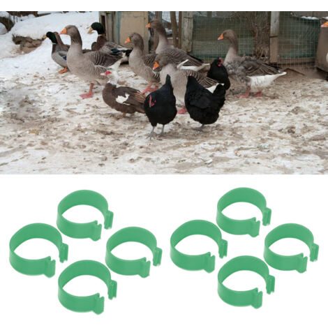 Bagues ouvertes pour pattes de volaille 100 pièces PP vert 20mm identification poulet canard oie élevage durable