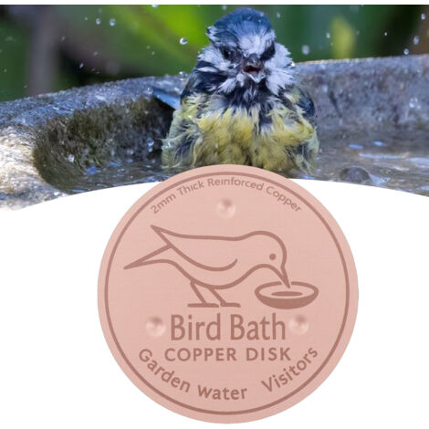 Disque de Purification pour Bassins d'Oiseaux - Cuivre Pur 99.99% - Épaisseur 1mm - Support Tripoint Stable - Utilisation Toute Saison (1/5)