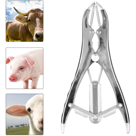 Pince de castration et coupe de queue sans sang, élégante et ergonomique en aluminium léger (113g, 20.5x11cm, pack 1) (1/5)