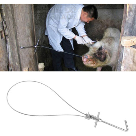 Piégeur pour Porc - Collier à Boucle Adjustable en Stainless Steel et Fil de Fer, Équipement Pratique pour Vaccination et Ferme, Dimensions: 54.5x20cm / 21.5x7.9in, Pointe Anti-Fugue avec Crochet de Q