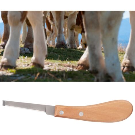 Straight Blade Carbon Steel Hoof Knife for Cattle Horse Trimming Tool - Right Hand (1/5)