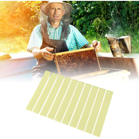 Paquet de 20 bandes Fluvalinate pour apiculture - Médicament contre varroa - Livré avec notice d'utilisation - Matériel d'apiculture essentiel