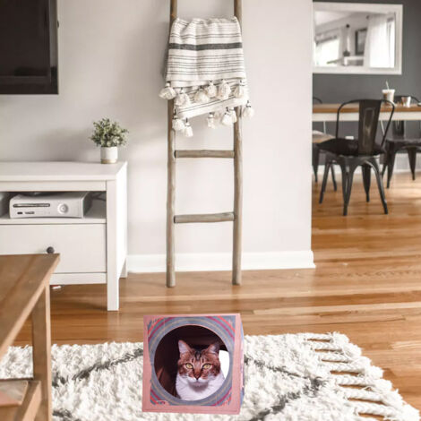 Tunnel pour Chat [Maison Papier Kraft] Tunnel Interactive pour Chat avec Cachette et Structure de Printemps - Tunnel de 61 cm pour Chat Rétractable et Portable (1/5)