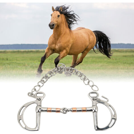 Bride pour Cheval 125mm - Embouchure D Ring Snaffle avec Chaîne en Acier Inoxydable et Cuivre (1/5)