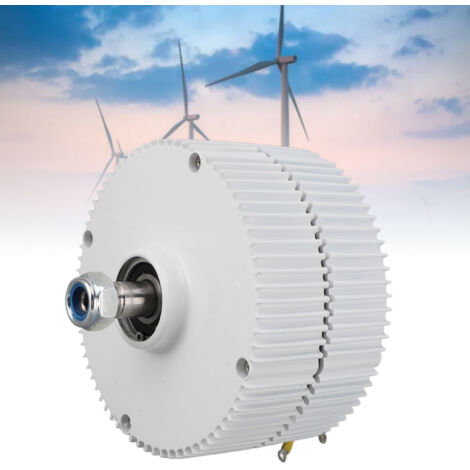 Générateur à Aimant Permanent - Générateur Synchrone AC Triphasé 48V Double Arbre pour Éoliennes 400W - Structure Compacte en Aluminium
