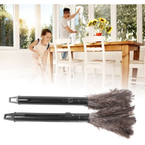 Plumeau à Poussière Retractable - 2 Unités avec Plumes d'Autruche et Manche Longue pour Nettoyage Maison (1/5)