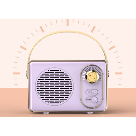 Enceinte Vintage Portable Bluetooth - Purp Sound - Design Retro Ins - ABS avec Plaque Métallique - 257g (1/5)