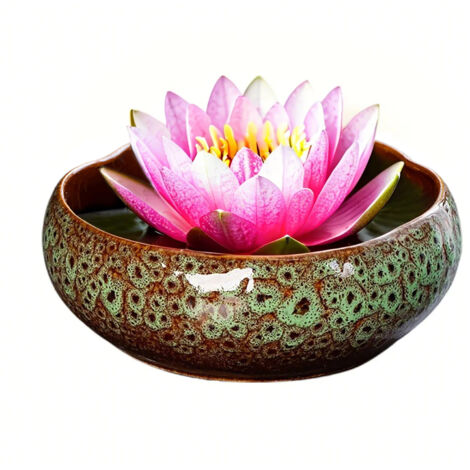 Pot pour plante hydroponique Lotus Bowl en céramique - Grand bol de thé lotus vert [mode céramique vintage] (1/3)