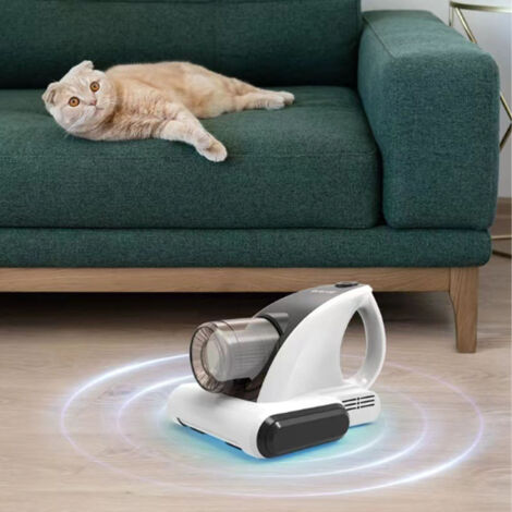 Aspirateur de Lit Puissant 12000Pa avec Recharge USB Sans Fil et Réservoir 350ml pour Nettoyer Matelas Sofa Plush Toys (1/5)