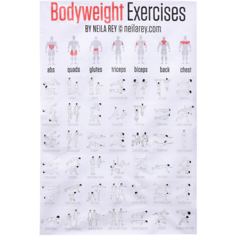Anatomie Poster Illustré - Modèle Humain Corps Détaillé 45x68cm - Canvas 80g Multicolore Systèmes Labelisés (1/5)