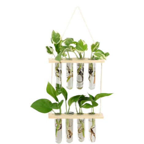 Vase Original - Étui pour Fleurs en Verre Borosilicate et Bois avec 8 Test Tubes (23x16x5 cm) - Transparent (1/5)