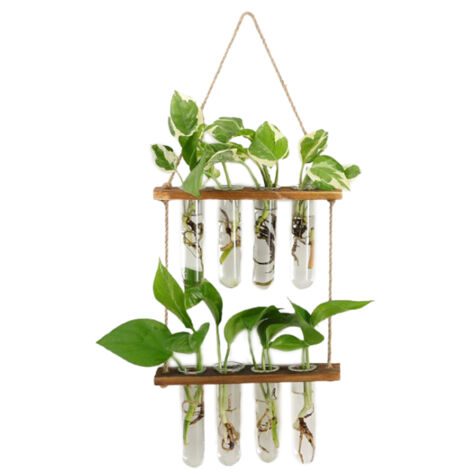 Vase Éco Vase mural en bois et verre borosilicate 23x16x5cm transparent pour 8 plantes avec support incl. (1/5)