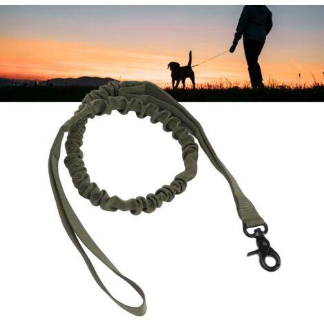 Laisse Militaire pour Chiens - Laisse Nylon Extra Résistante 40in avec Elastique pour Contrôle Facile - 4.2oz - 102cm - Vert (1/5)