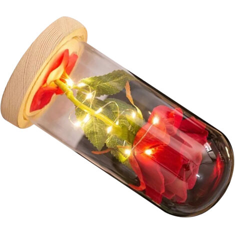 Lampe à Rose en Verre LED (Eternelle Rose) - Lampe Décorative et Romantique pour Anniversaire et Saint Valentin - Luxe, Plastique, Bois, Verre (1/5)
