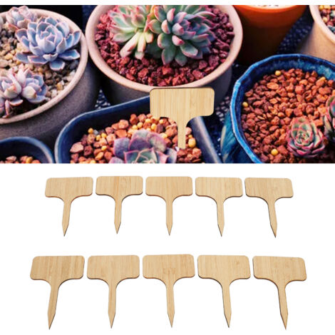 Étiquettes pour plantes - Bambou naturel - Facile à inscrire - 1/8 d'épaisseur - Lot de 10 marqueurs décoratifs T-Shape pour jardinage (1/5)