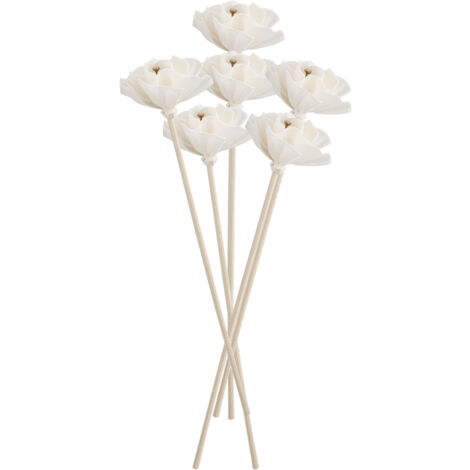Diffuseurs Naturels à Bâtons 6P Fibre & Bois pour Salon, Bureau, Événements (1/5)