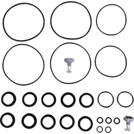 Kit de réparation 25013 pour filtre à sable: Joints O-Rings et valves de purge d'air en caoutchouc - 22 joints + 2 valves (1/5)