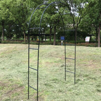 Arches de jardin Pergola Trellis Stand pour plantes - Kit métal noir/blanc 2.4x1.4m - Arches décoratives pour extérieur mariage jardin patio.