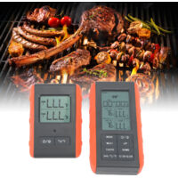 Thermomètre à viande avec double sonde Thermomètre digital barbecue Wireless Alarm HTN Thermomètre cuisine sonde