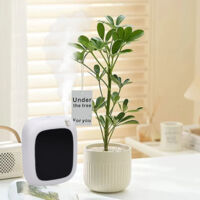 Diffuseur d’air intelligent 200ml aromathérapie machine pour hotel spa bureau App contrôle mur montable