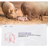 Test de Grossesse Porcin - Testeur de Pregnancy Sow - Test Strip Tester Bandelette pour Diagnostic Porcine - 13cm
